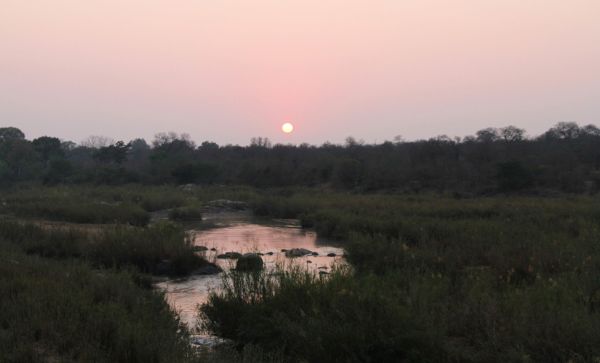 Burchell's Bush Lodge