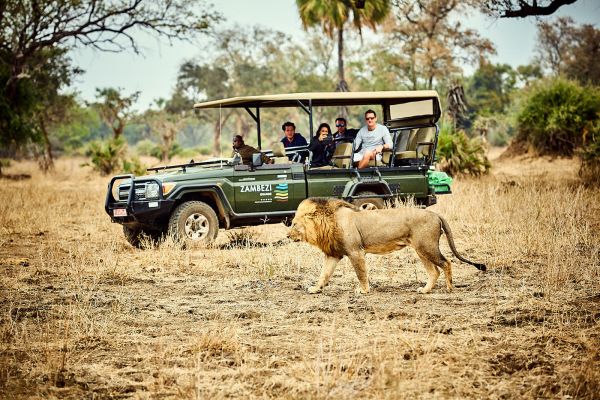 Zambezi Grande Private Game Experience