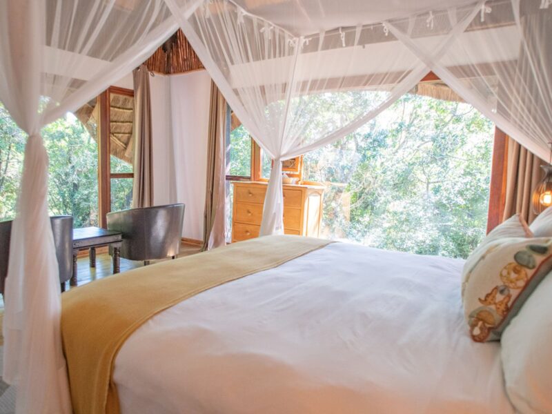 Malkoha Lake St Lucia