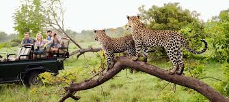 Southern Africa 360 - JABULANI: Kapama Private Game Reserve