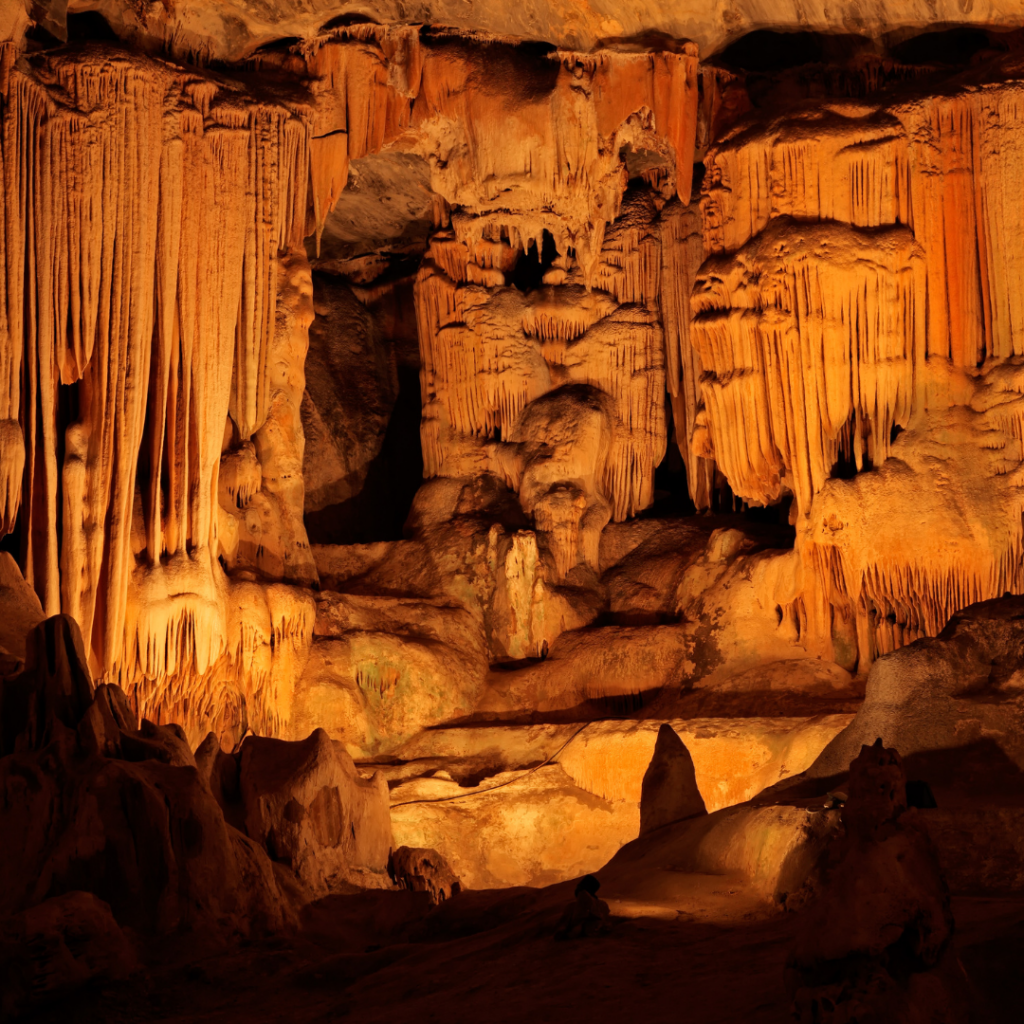 Southern Africa 360 - Country Routes of the Cape: 4-nights Route 62 Highlights