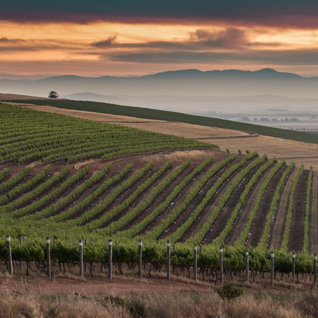 Southern Africa 360: Country Routes of the Cape - 3-nights West Coast Affair