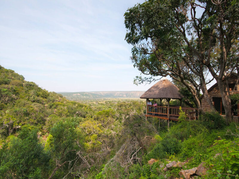 Southern Africa 360 - 2 Nights Amakhala Private Game Reserve Safaris: Amakhala Woodbury Tented Camp or Leeuwenbosch Country House