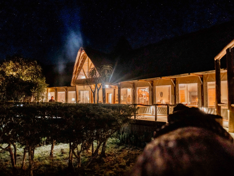 Southern Africa 360 - 2 Nights Amakhala Private Game Reserve Safaris: Amakhala Bush Lodge or Bukela Lodge