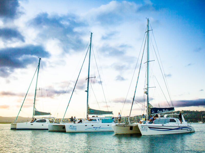 Ocean Sailing Charters Premium Knysna Yacht Cruises