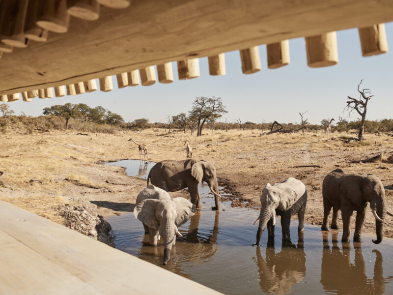Savute Elephant Lodge, A Belmond Safari