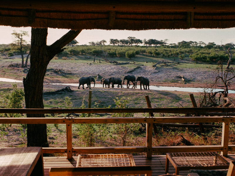 Savute Elephant Lodge, A Belmond Safari
