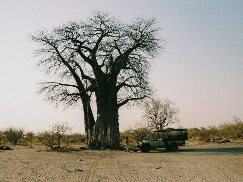 Savute Elephant Lodge, A Belmond Safari
