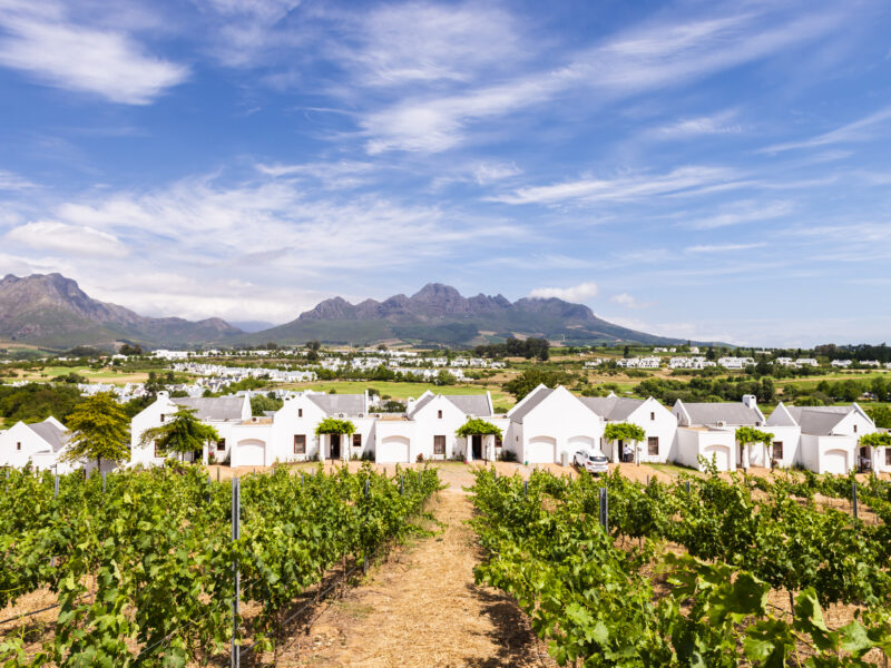 De Zalze Lodge