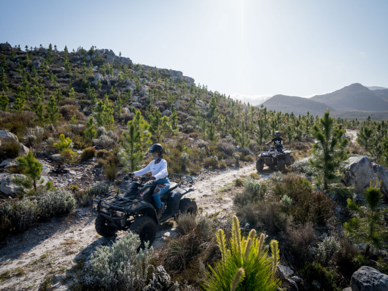 Trail's End Adventure Hotel